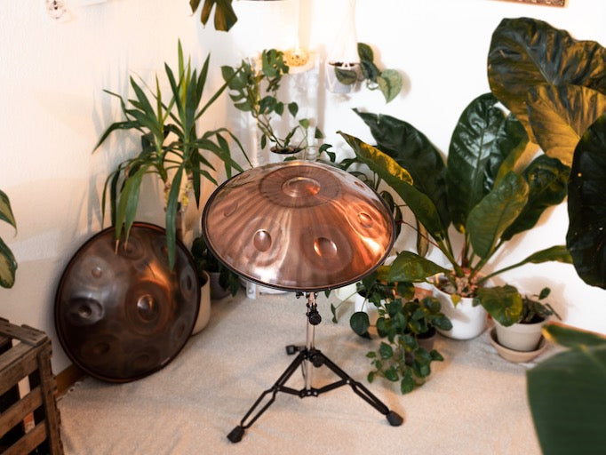 AeloPan Handpan glänzt bronce auf einem Handpanständer in einem Schön eingerichteten Raum zwischen Pflanzen bereit zum spielen