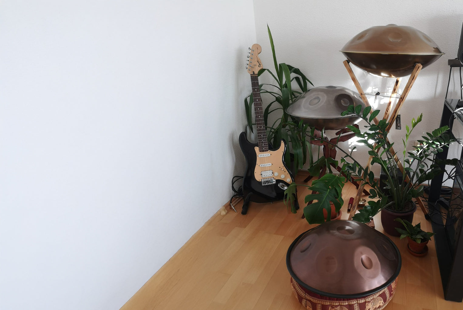 Drei Handpans und eine E-Gitarre sowie zwei Planzen stehen in der Ecke des Handpan Showrooms Stuttgart